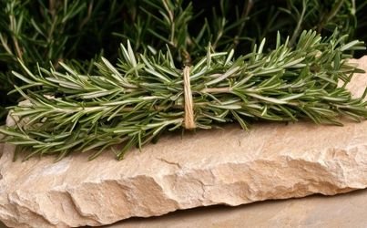 2Z FOR EXPORT Support